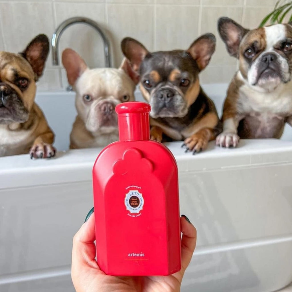 Leto 3-In-1 Dog Wash