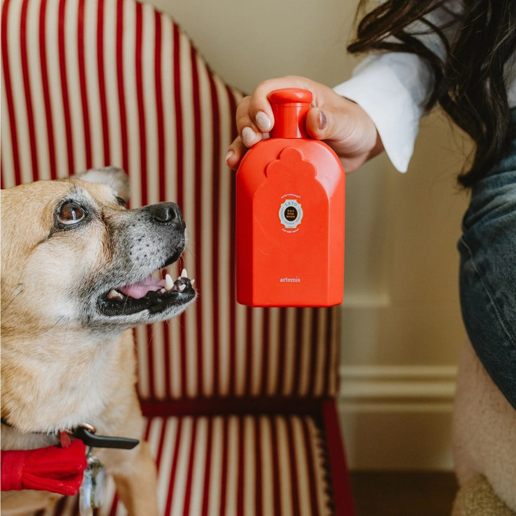 Leto 3-In-1 Dog Wash